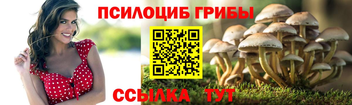 Псилоцибиновые грибы Psilocybe  Псилоцибиновые грибы Psilocybine cubensis  Вход с VPN  Александров 